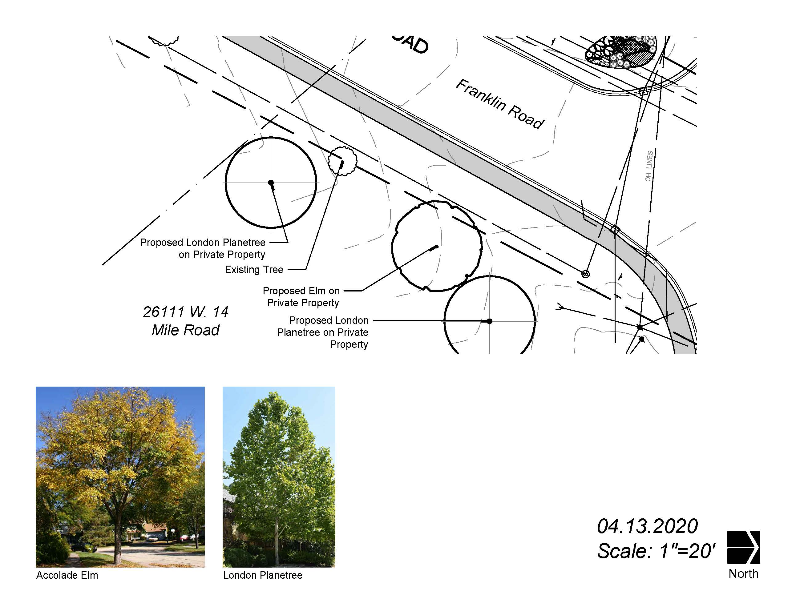 6  14 Mile SE Corner Trees_2020 04 13